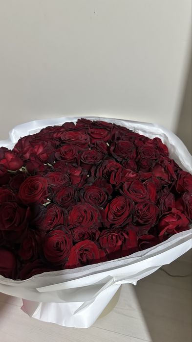 Розы красные 101шт