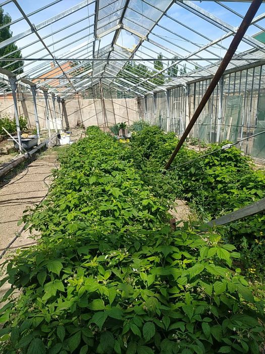 Продам 3комн благоустроенный  дом, 12.5млн