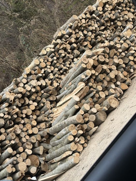 Lemn de foc fag rotund