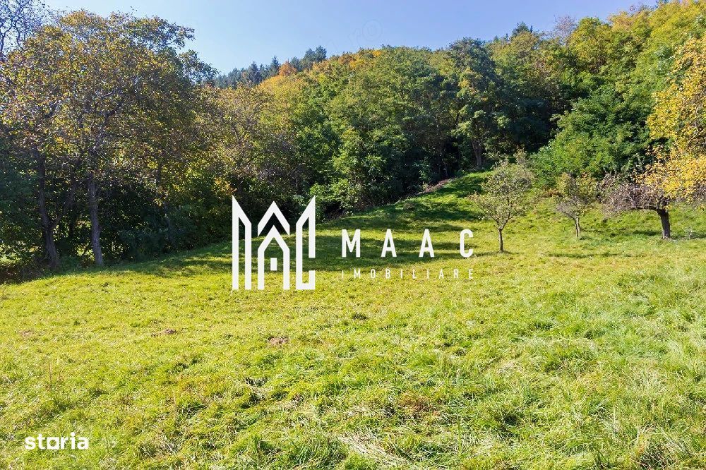 Teren | Intravilan | 2439 MPU | Fântânele