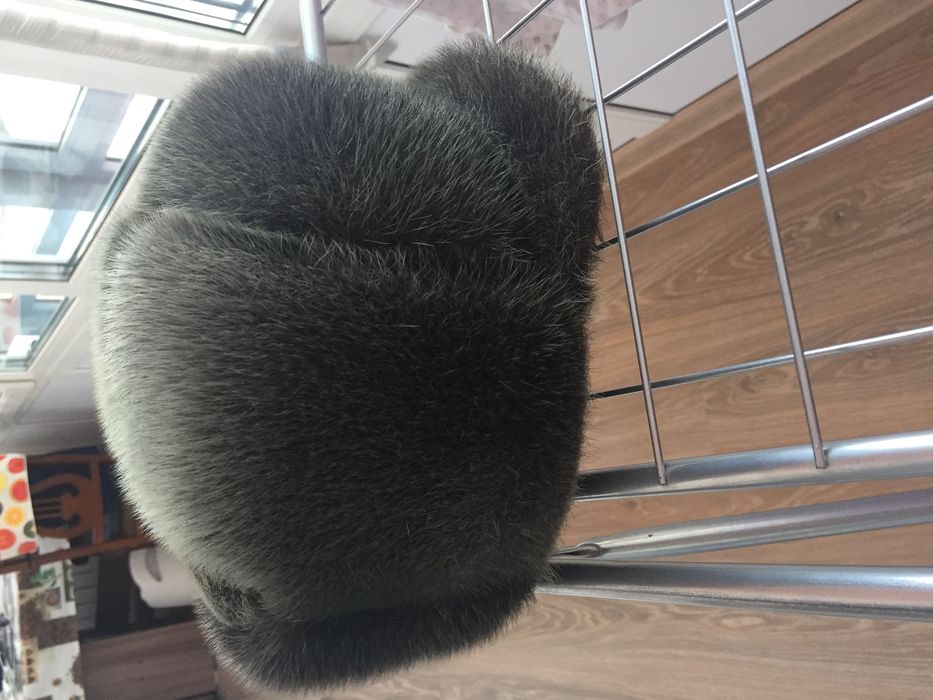 Продам кепку 20000