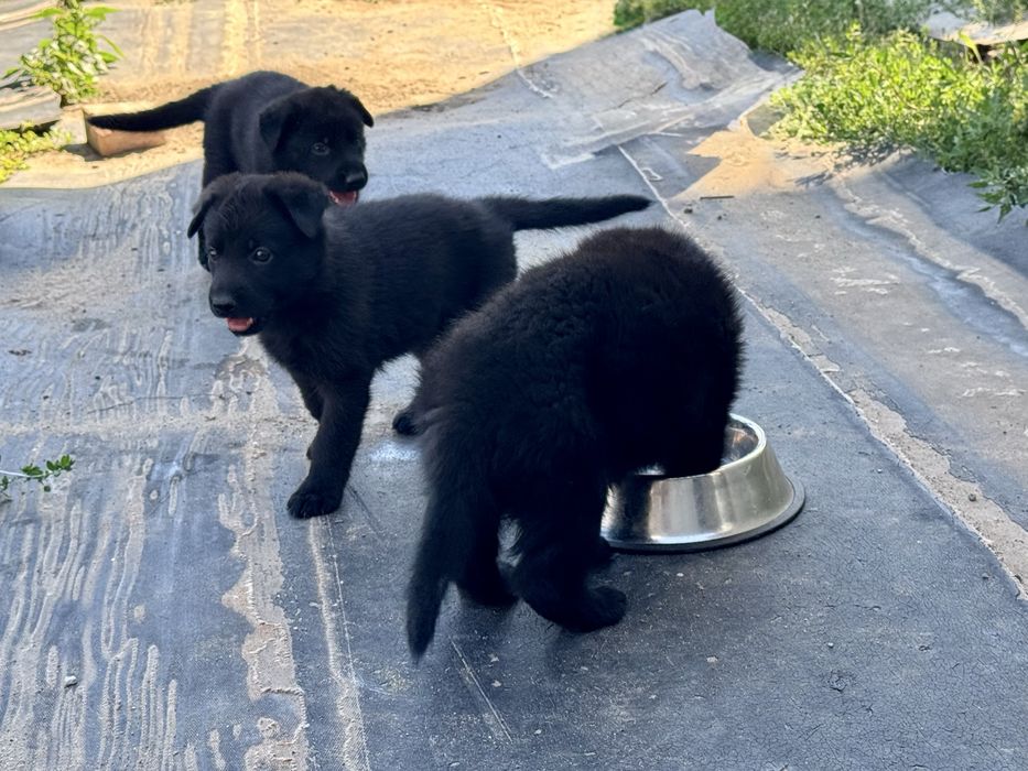 Раннее бронирование