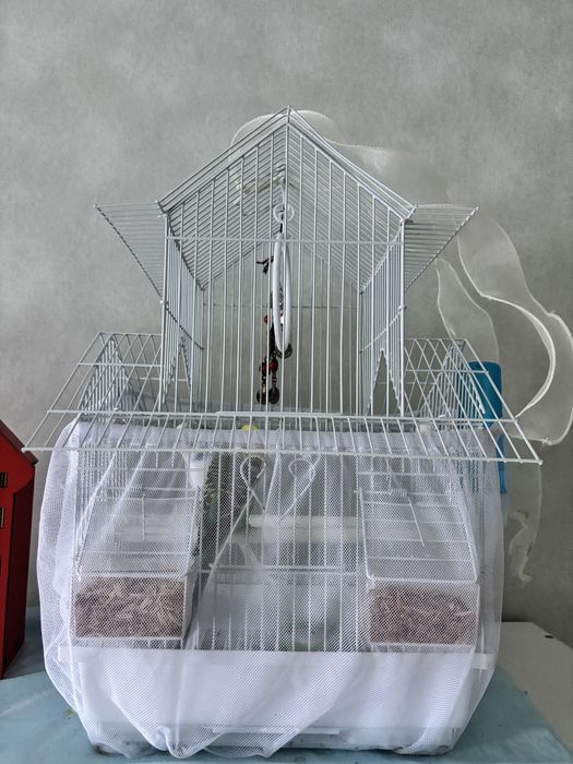 Продам попугаев с клеткой