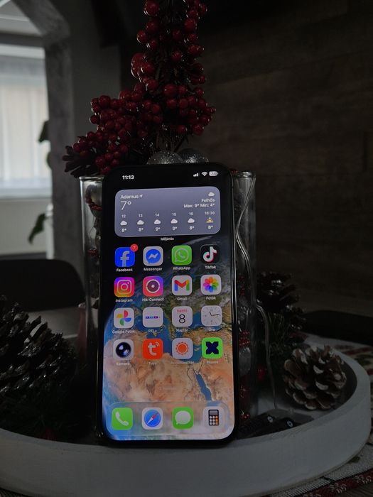 iPhone 13 Pro Max 256GB