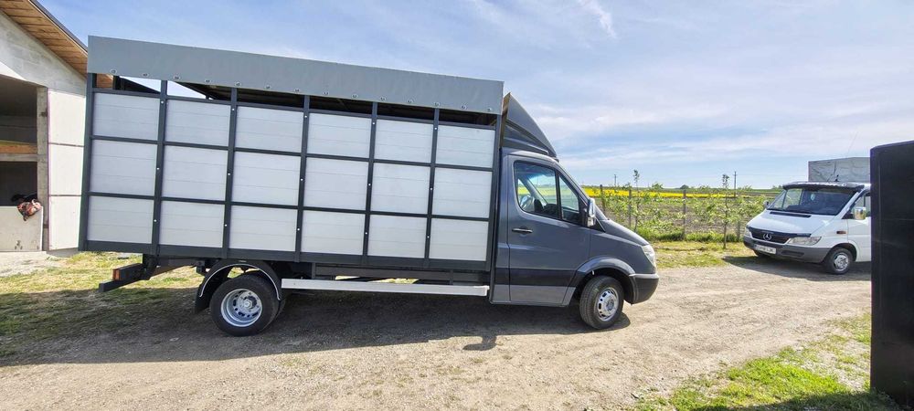 Mercedes Sprinter 515 CDI,  Transport animale, 2007