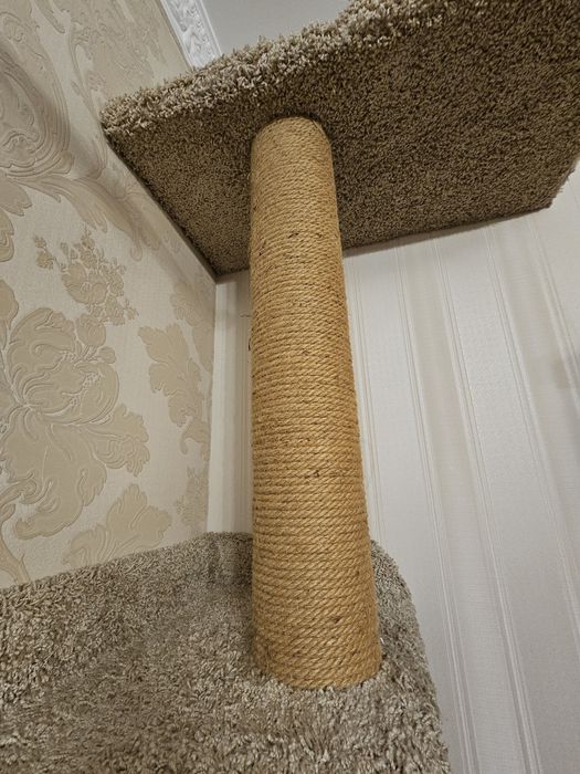 Угловой комплекс когтеточка