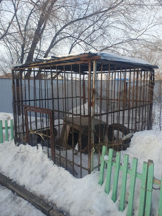 Продам вольер для собаки