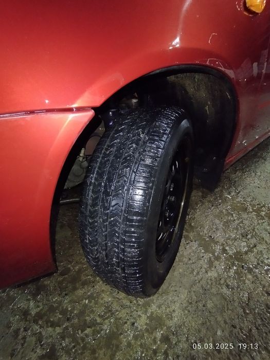 Lada kelina hechbach