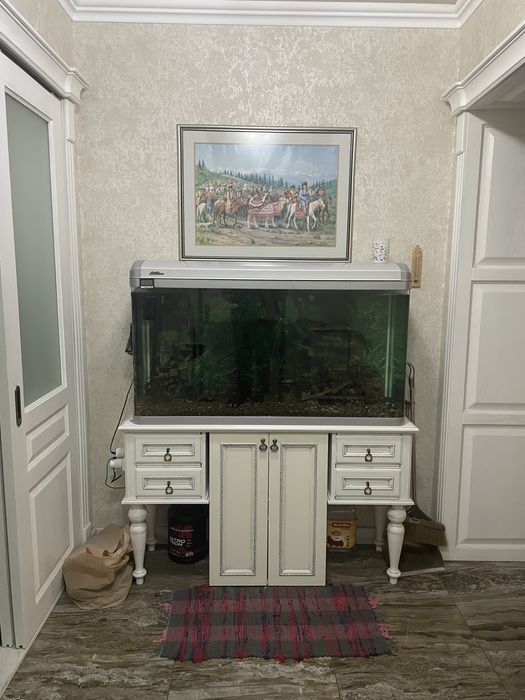 Аквариум с рыбами и растениями