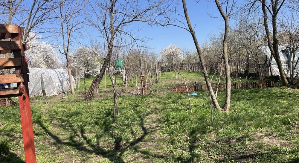 Vand teren cu casa batraneasca comuna Oinacu, Giurgiu