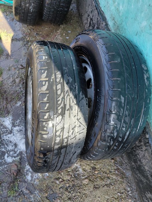 Накаченный балондар 14 тик