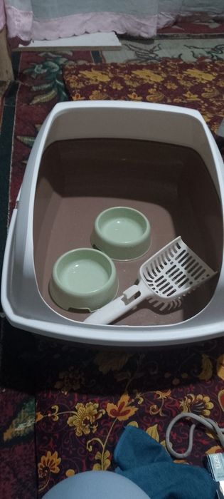 Лоток для кошек нов