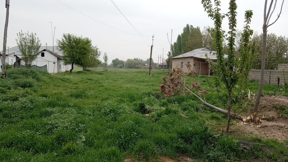 Uchaska sotiladi 13-sotix Yangi Õzbekiston bog'iga yaqin