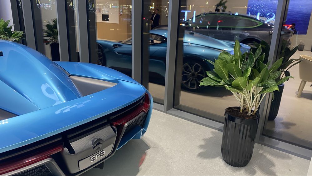 Офис учун гуллар, Цветы, Цветы для офиса, Офисные растения