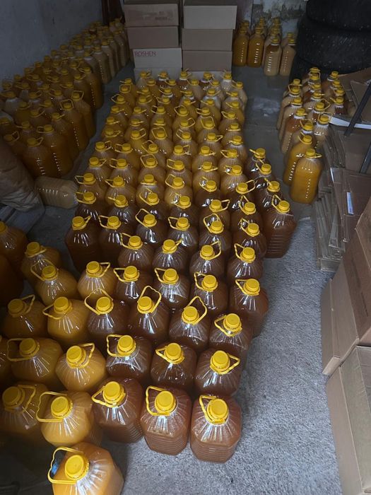 Мед Алтайский, Катонкарагайский