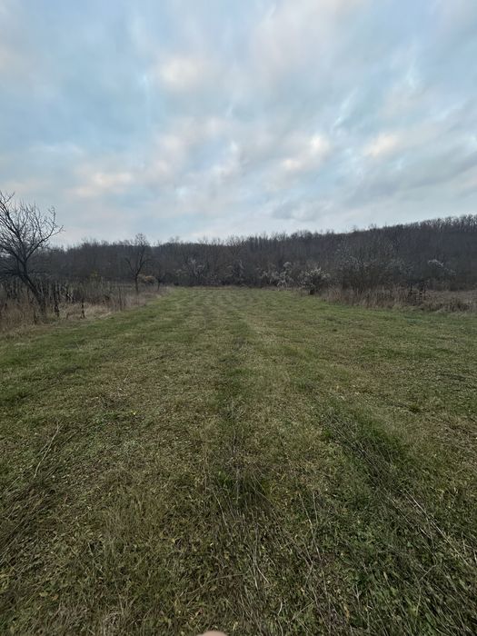 Vand teren 28.000€   4.700 mp  25 Km de oras Buzau