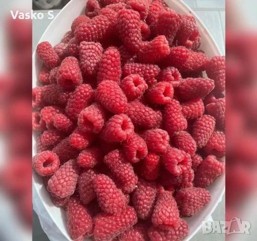 Продавам ягоди и малини