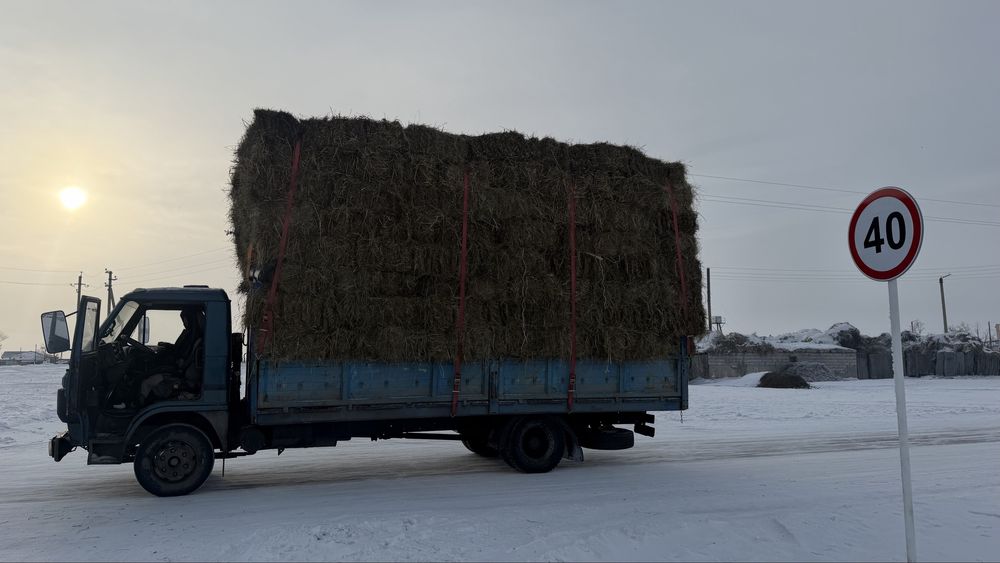 Продам сена в тюк лугавоие