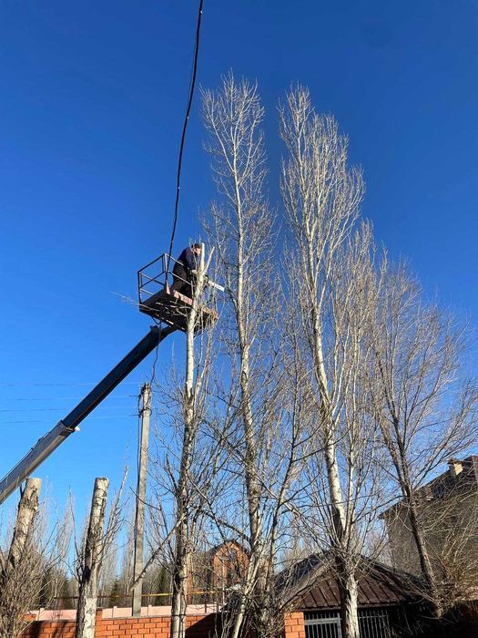 Спил обрезка аварийных леревьев