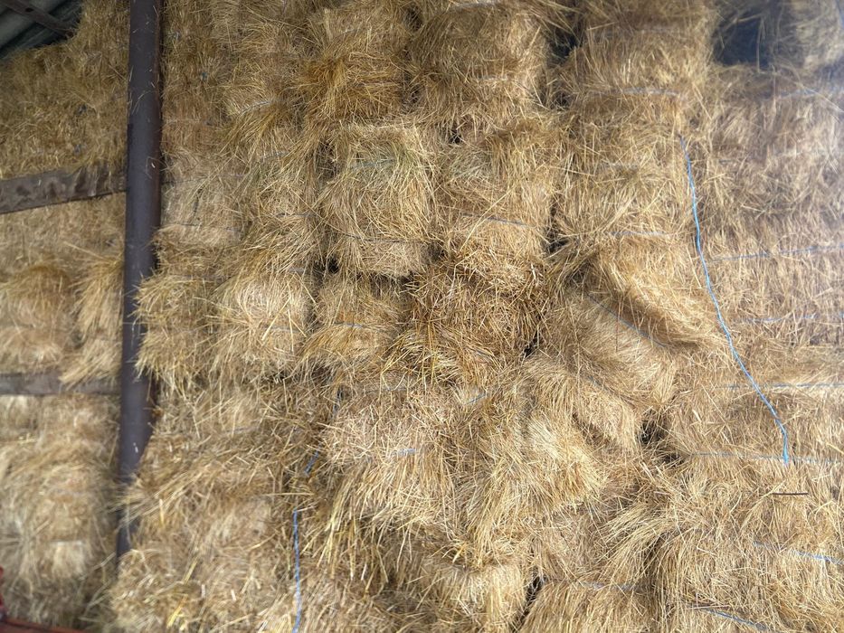 Baloti de fân de vânzare