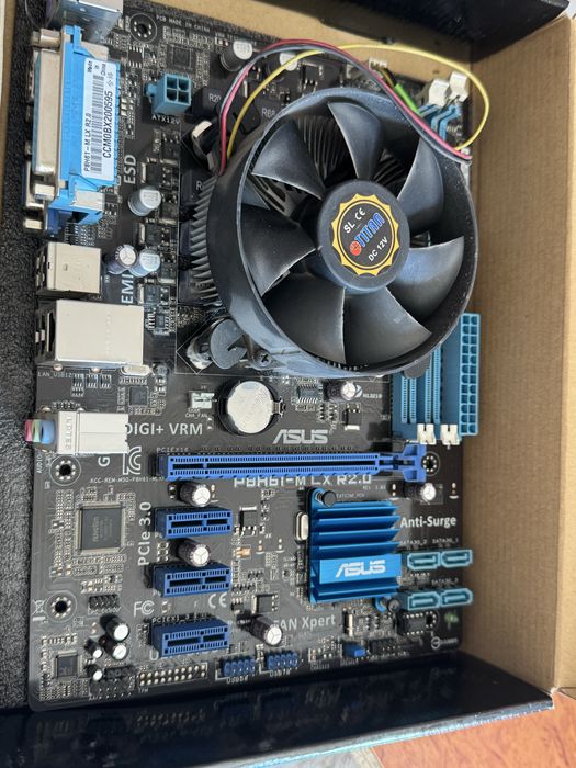 материнская плата Asus