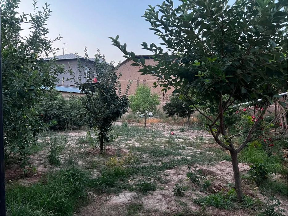 Nazarbek yer sotiladi