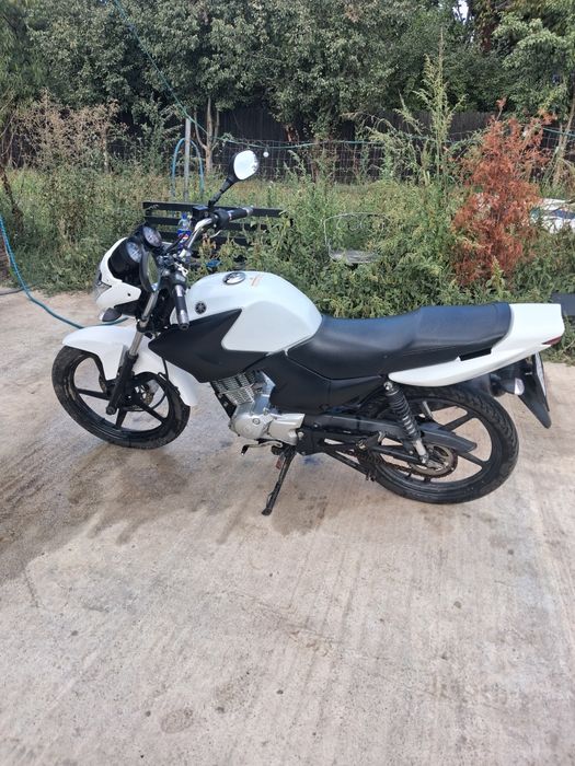 Yamaha ybr  2014
