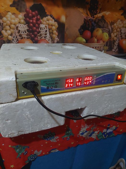 Incubator tehno ms 98