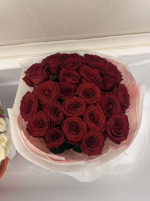 Цветы розы красные