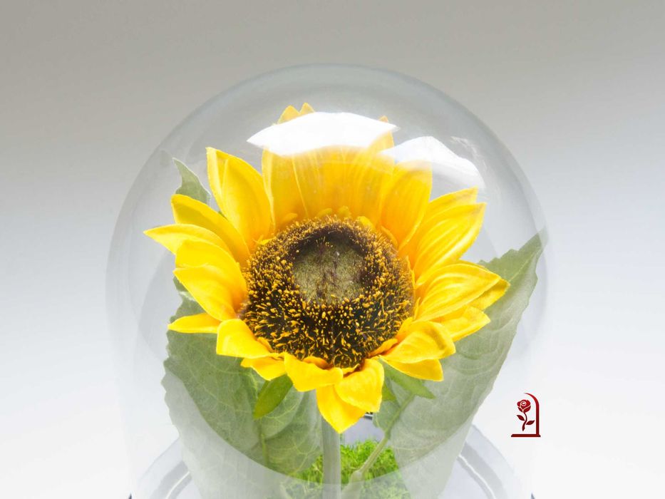 Вечен Слънчоглед в Голяма Стъкленица със Скандинавски Мъх / Ръчно изработен Подарък за Рожден Ден на Жена / Оригинален Подарък за Съпругата