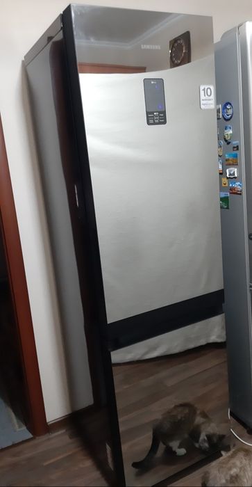 Холодильник Samsung RL55TTE2A