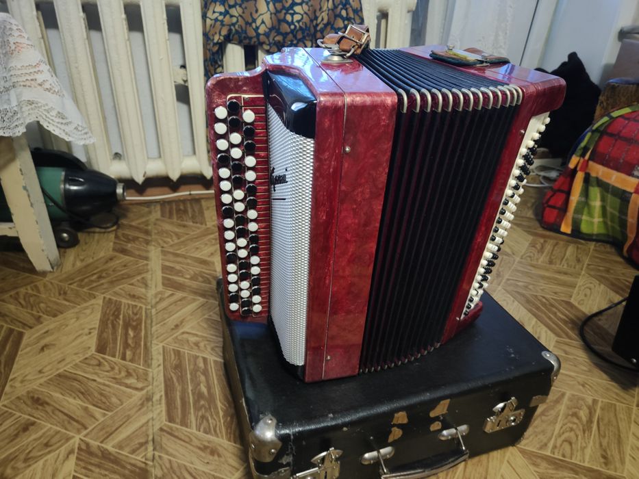 Баян Тульский в чехле.