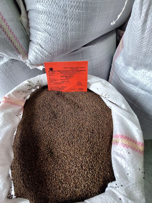 Sămânță Lucerna Certificata, Sorg, Sudan, Mazariche, Trifoi, Sparceta, Porumb, Floarea Soarelui