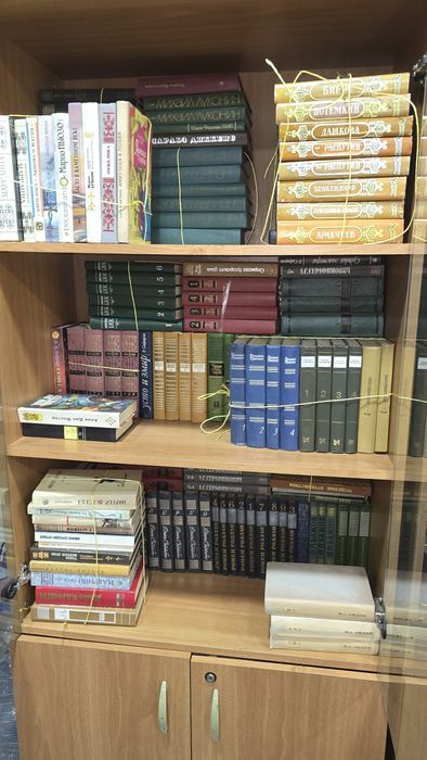 Большая своя библиотека