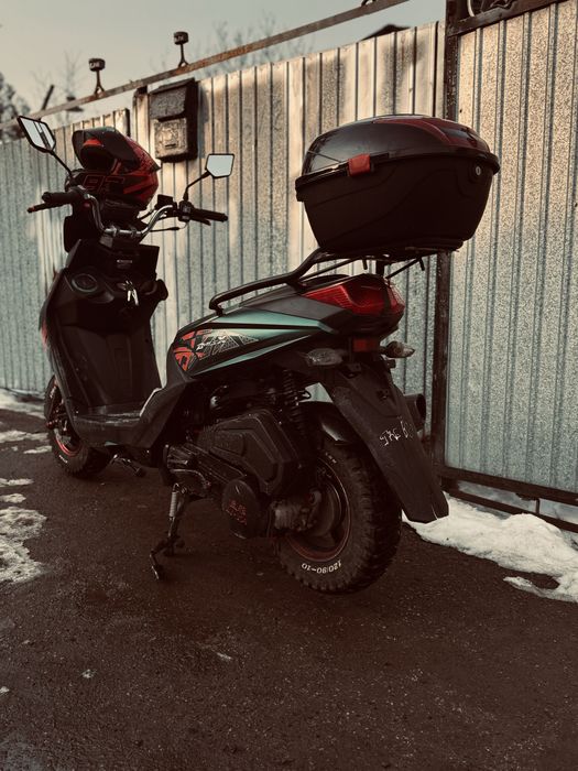 Самурай лия сток