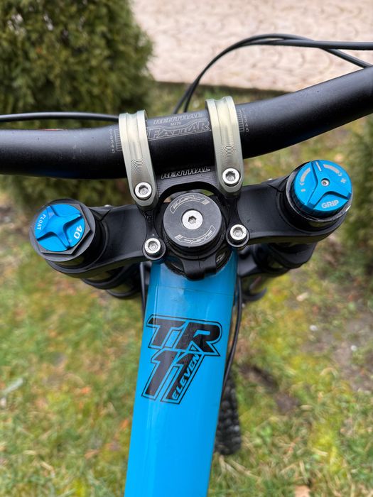 Transition Tr11 L (mullet)