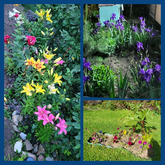 Продам дачу в Новой Бухтарме