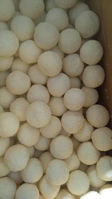 Көтерме  бағада  құрт 1300 за кг