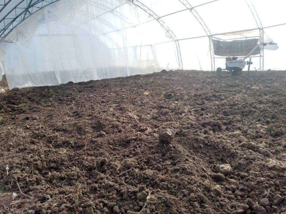 Оранжерии и открити площи под наем Варна с. Куманово 80лв./мес.