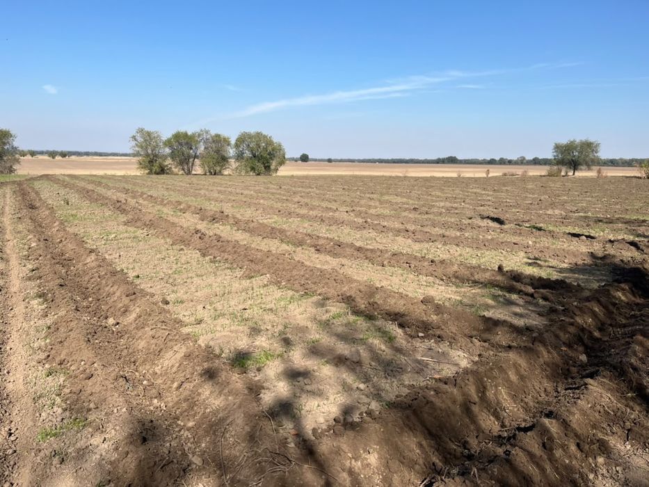 продам пол гектара по трассе