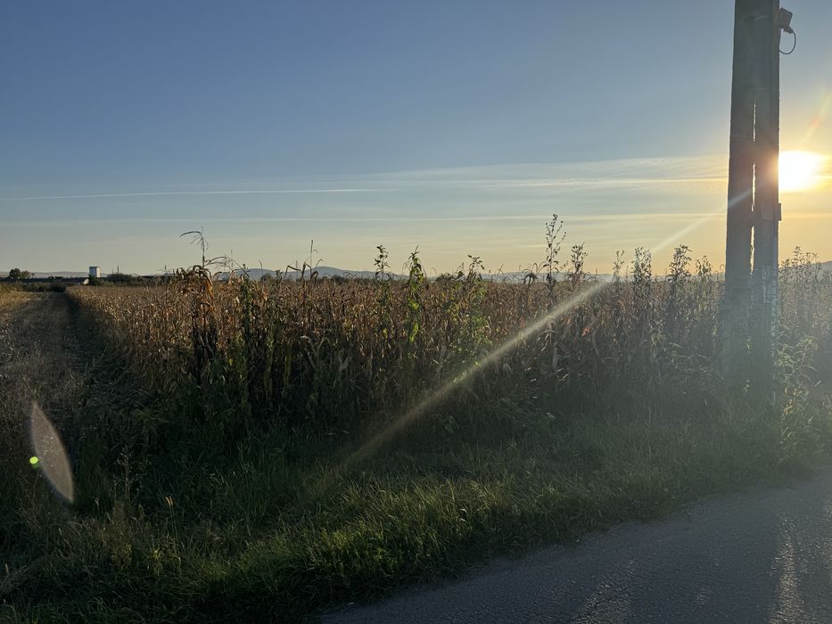 Teren vanzare Jelna