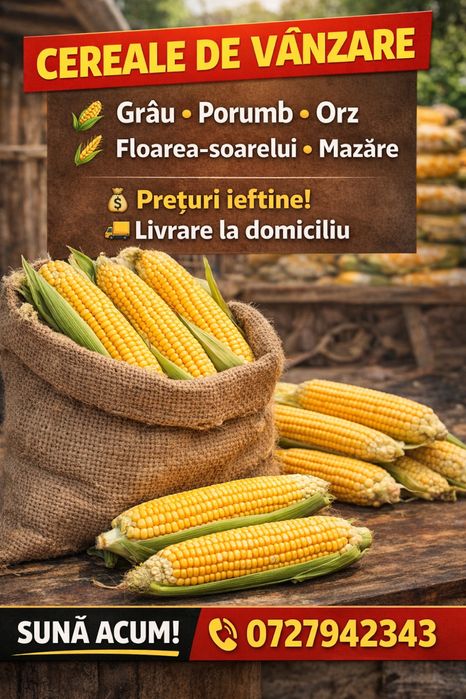 Porumb de vanzare