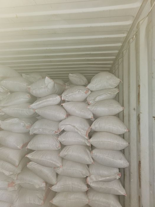 Ракушка кормовая