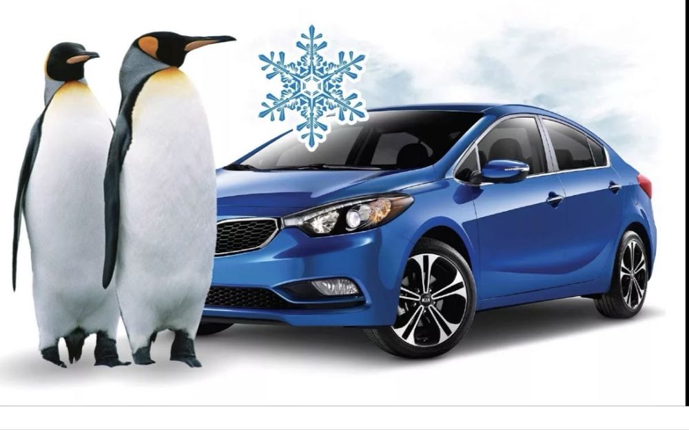 Заправка автокондиционеров