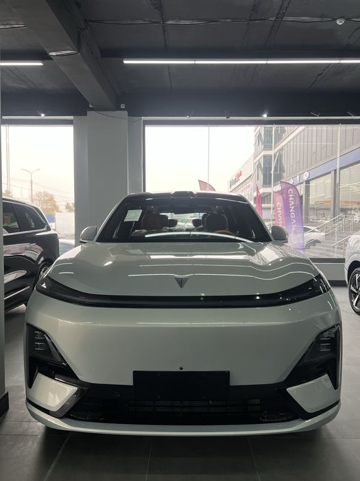 Changan depal S09 2 WD