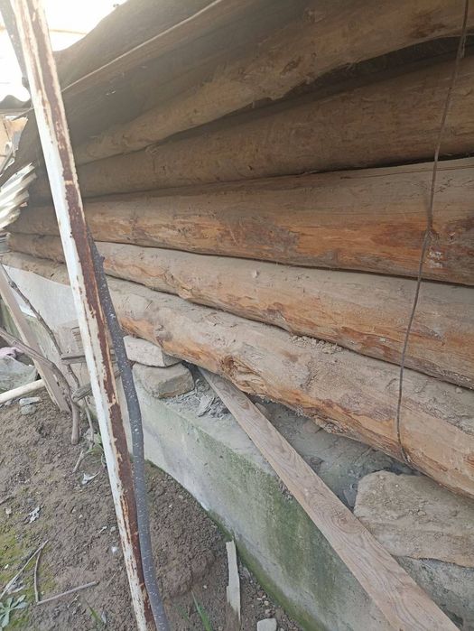 5 metrlik rasiski bolol bor chirimagan 10 ta 300 mingdan donasi