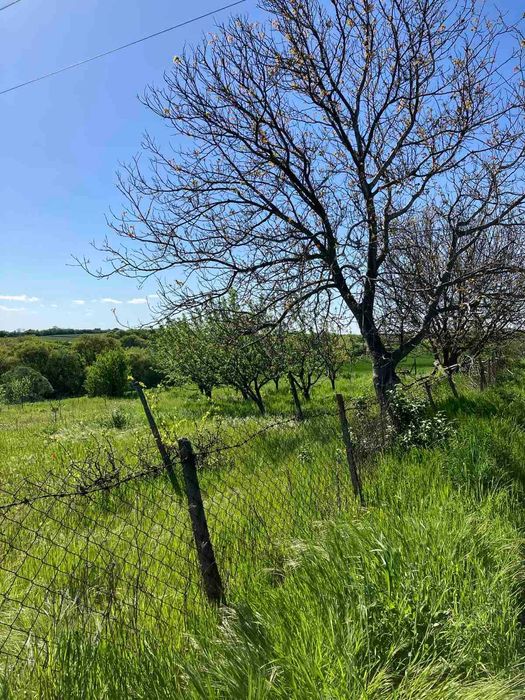 Продава се Парцел в с. Стамболийски, Област Хасково - 2113 кв.м за 10 €/кв.м - Снимка #11