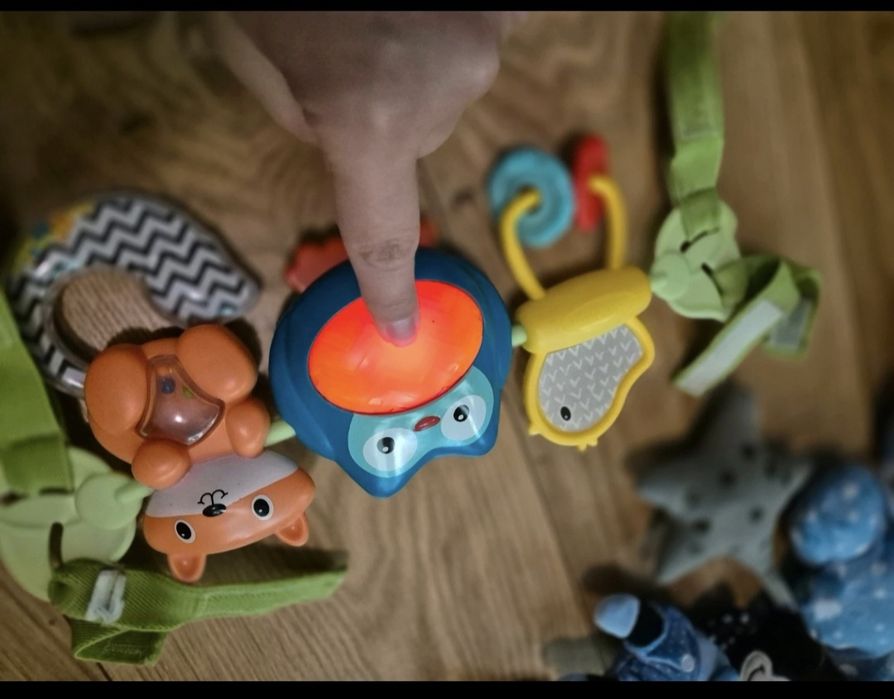 Accesorii carut si patut