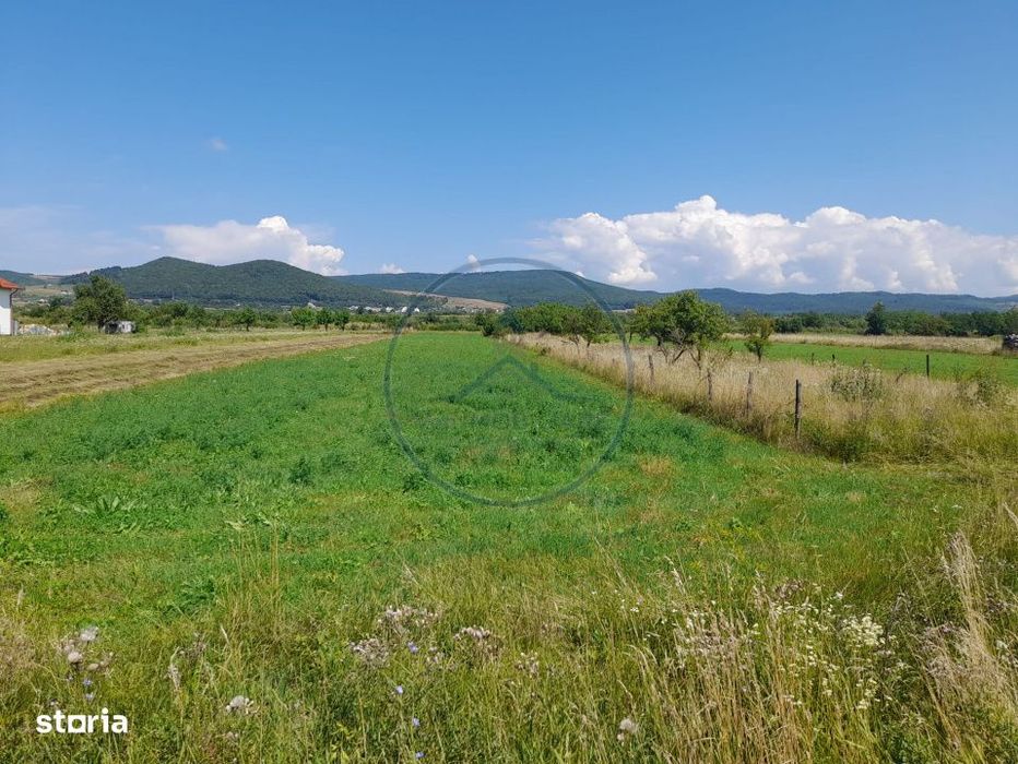 Teren 2997Mp,Intravilan,Zona Rusu Bargaului
