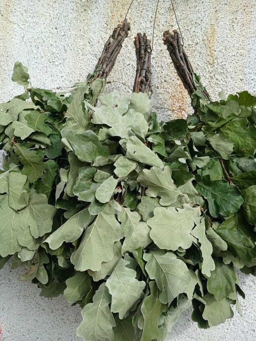 продам   веники   дубовые   1500 т.